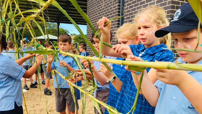 Aboriginal Education Catholic Schools Parramatta Jarara 5