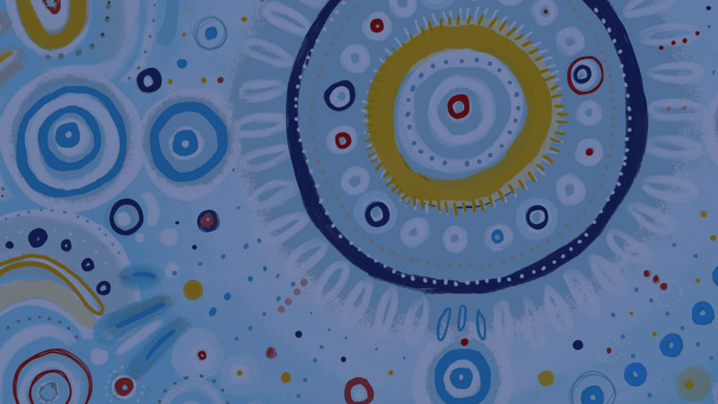 Jarara Aboriginal Education - CSNSW Aboriginal Education Strategy