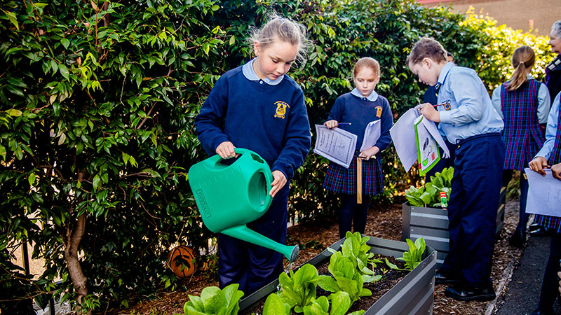 Catholic Schools Parramatta Young Mental Health First Aid