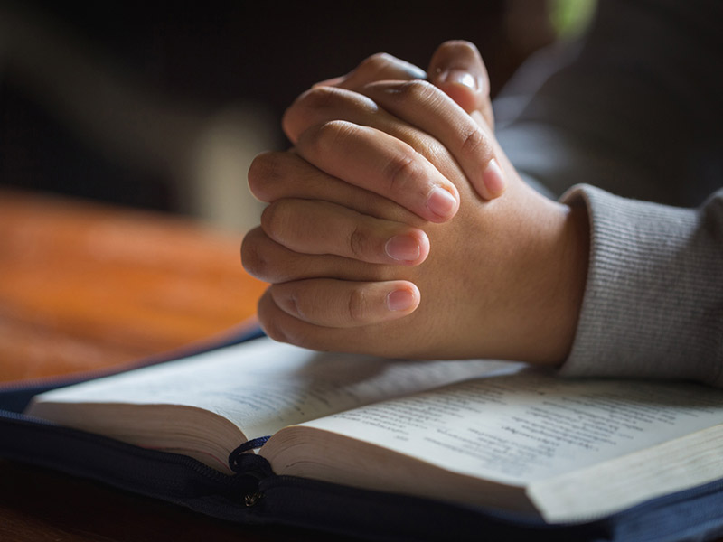 2021-draft-curriculum-paused