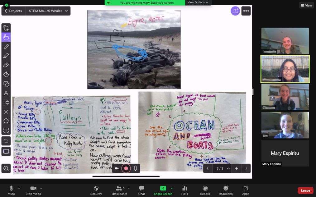 Year 4 students at St Thomas Aquinas Springwood