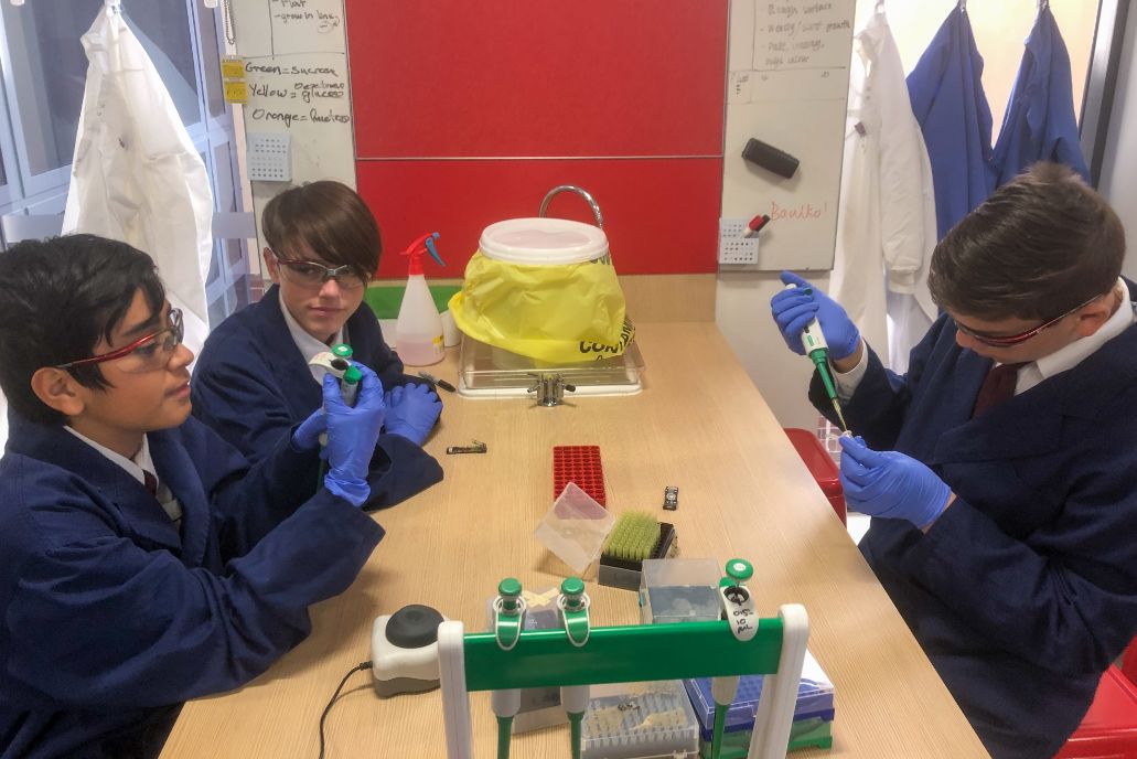 Marian Catholic College Kenthurst students