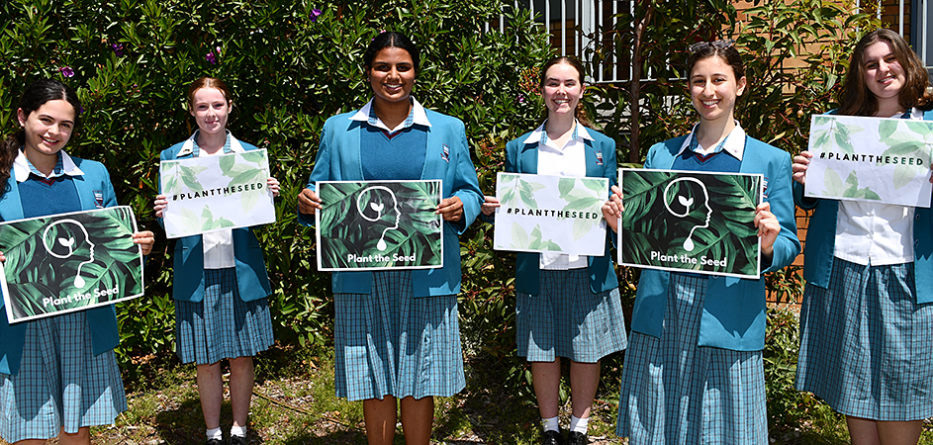 2021-planta-seed-article