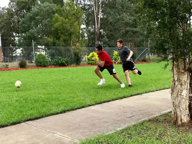 2019-MLZ-Success-3