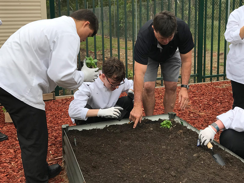 2019MLZGarden1