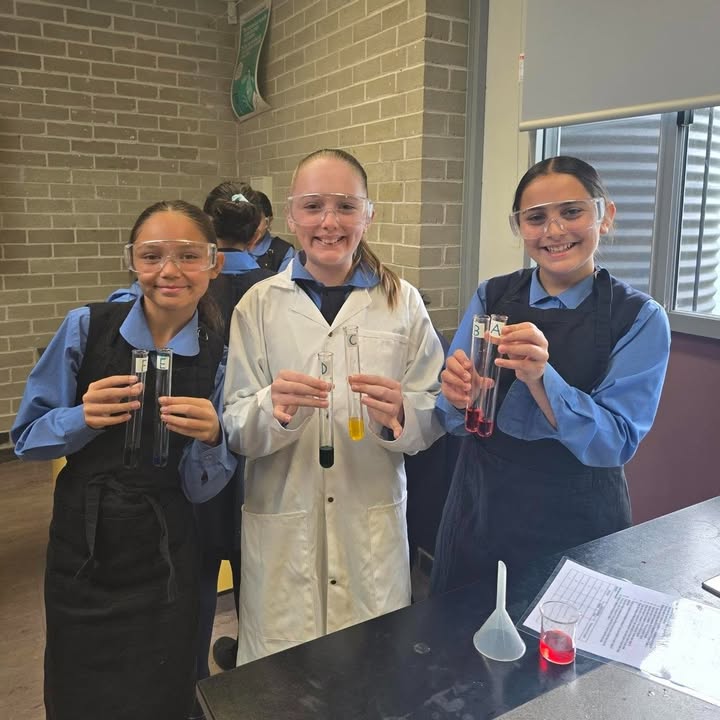 617762377044461_1229418172545542-1