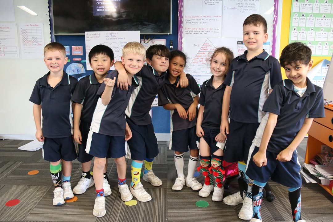 617762377044461_1232701008883925-1