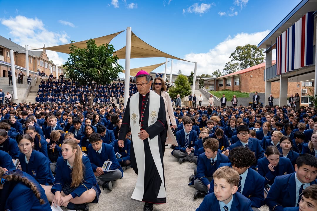 617762377044461_1239927734827919-1