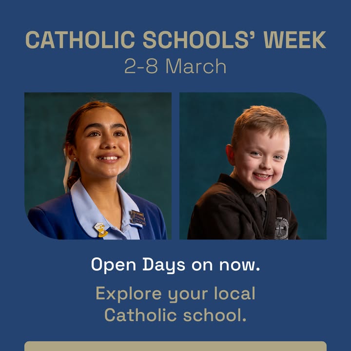 617762377044461_1327629739391051-1