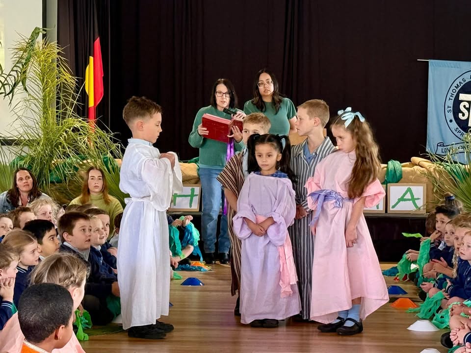 617762377044461_1355101883310503-1