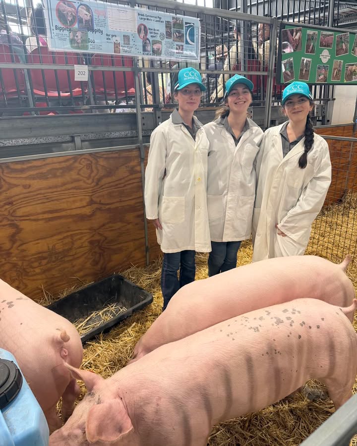 617762377044461_1364239382396753-1