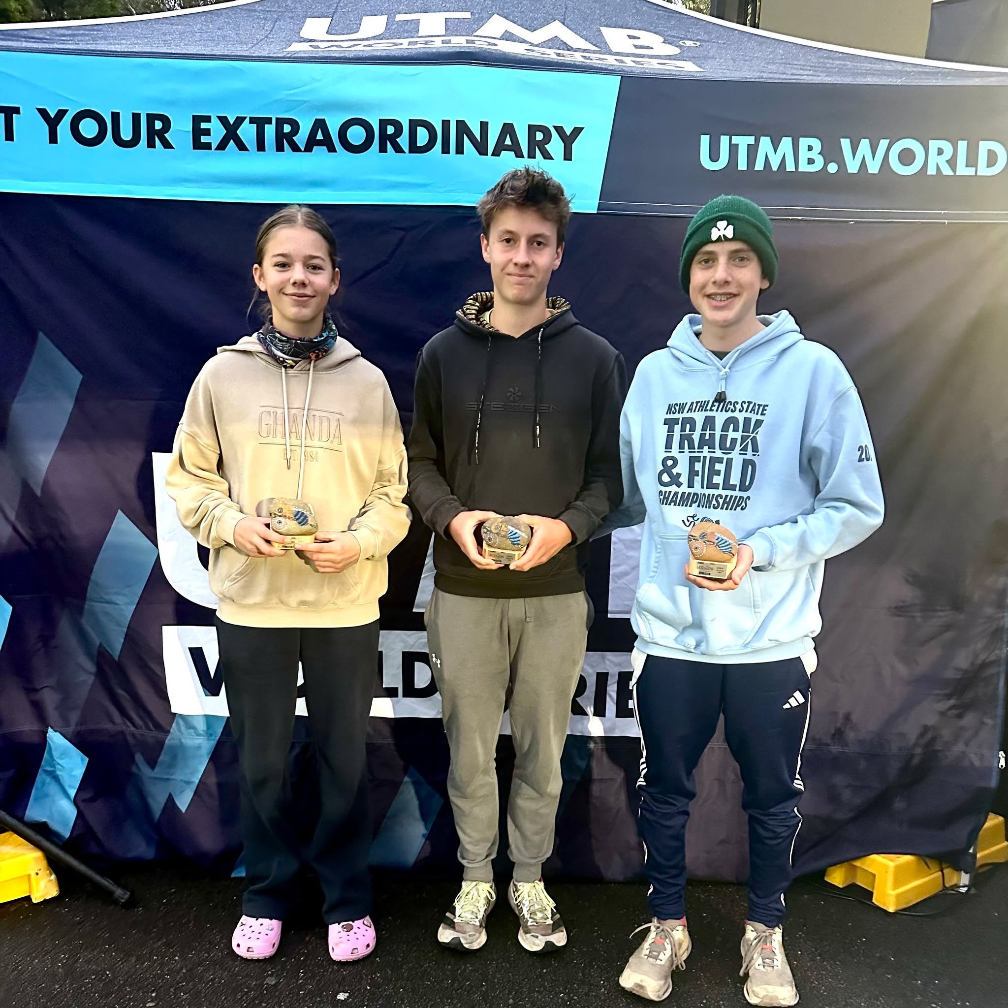 17952316311178579-1